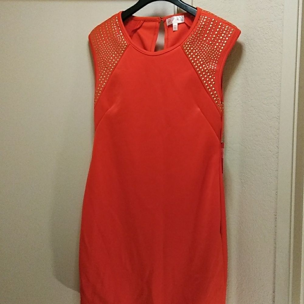 Dress - Picture 4 of 4
